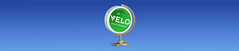Welcher VELO-Typ bist du?