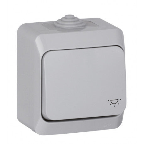 Bouton poussoir 10A Cedar Plus - Schneider