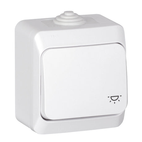 Bouton poussoir 10A Cedar Plus - Schneider