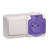 Interrupteur va et vient + prise 2P+T + cache - Cedar Plus - Schneider