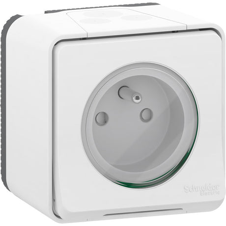 Prise 2P+T en saillie étanche IP55 - Mureva - Schneider