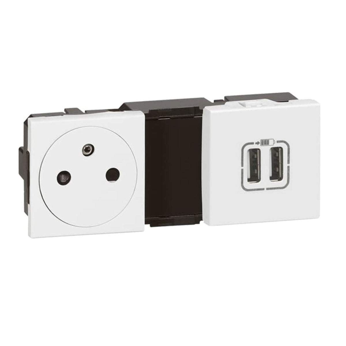 Prise 2P+T 16A + chargeur 2 USB-A précablée 5 modules - Mosaic - blanc - Legrand