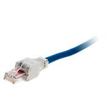 Lot de fiches RJ45 CAT 6 sans outil - Zenitech