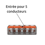 Borne de raccordement S221 Compact - 2/5 entrées - Wago
