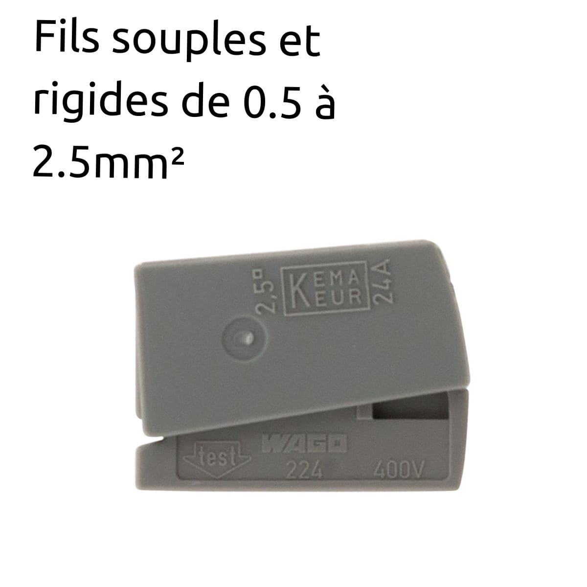 Lot de 6 bornes de service pour luminaires S224 - Conducteurs rigides 2,5mm² max - connecteurs rapides - Gris - Wago