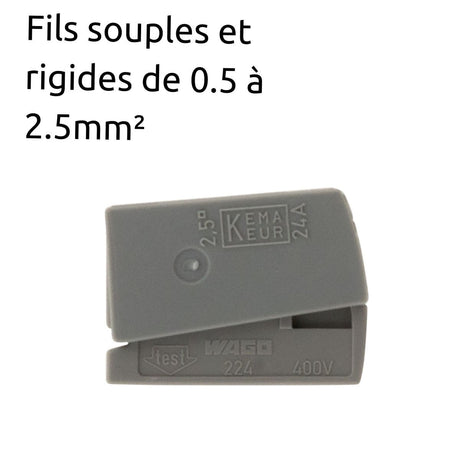 Lot de 6 bornes de service pour luminaires S224 - Conducteurs rigides 2,5mm² max - connecteurs rapides - Gris - Wago