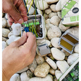 Sachet de bornes 221 Green - Wago