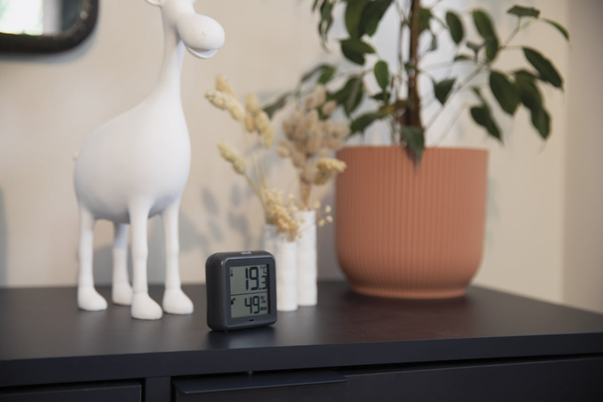 Thermomètre hygromètre intérieur + capteur - Otio