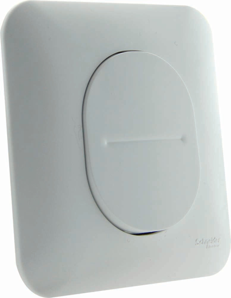 Bouton poussoir 10A connexion auto - Ovalis - Schneider