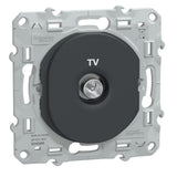 Prise TV simple encastrée Ovalis - Schneider