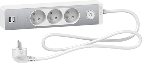 Bloc multiprise 2P+T + 2 USB - Schneider