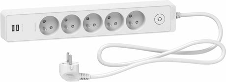 Bloc multiprise 2P+T + 2 USB - Schneider