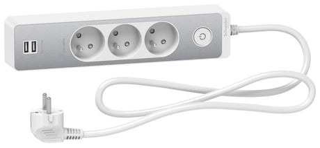 Bloc multiprise 2P+T + 2 USB - Schneider