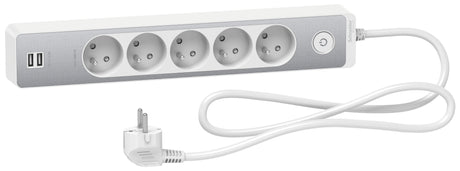 Bloc multiprise 2P+T + 2 USB - Schneider