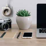 Prise BEWATT + chargeur USB - Watt and Co