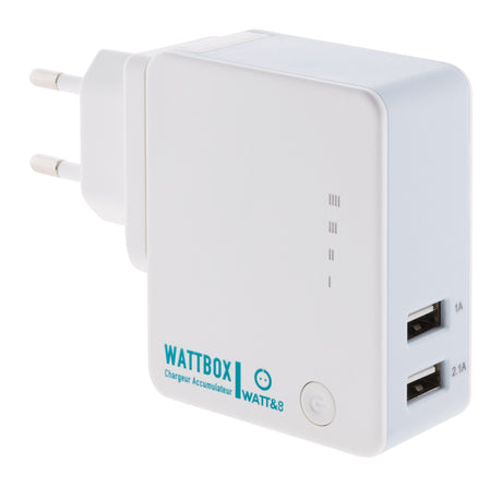 Chargeur USB universel + powerbank intégrée 2600 mAh - Watt and Co
