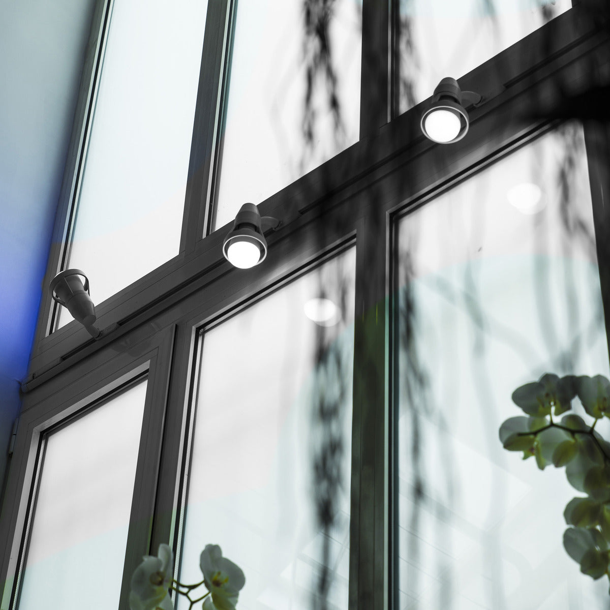 Ampoule LED connectée Bluetooth - E27 13W - Chacon