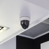 Caméra factice dôme avec LED Bleue fixe - Chacon