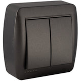 Double interrupteur va et vient en saillie - Noir graphite - Solera