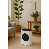 Chauffage électrique + ventilation - 750/1500W - Britec