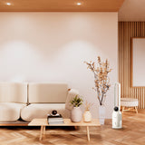 Rafraichisseur colonne 800m³/h 25dB sans pale - Blanc - Britec