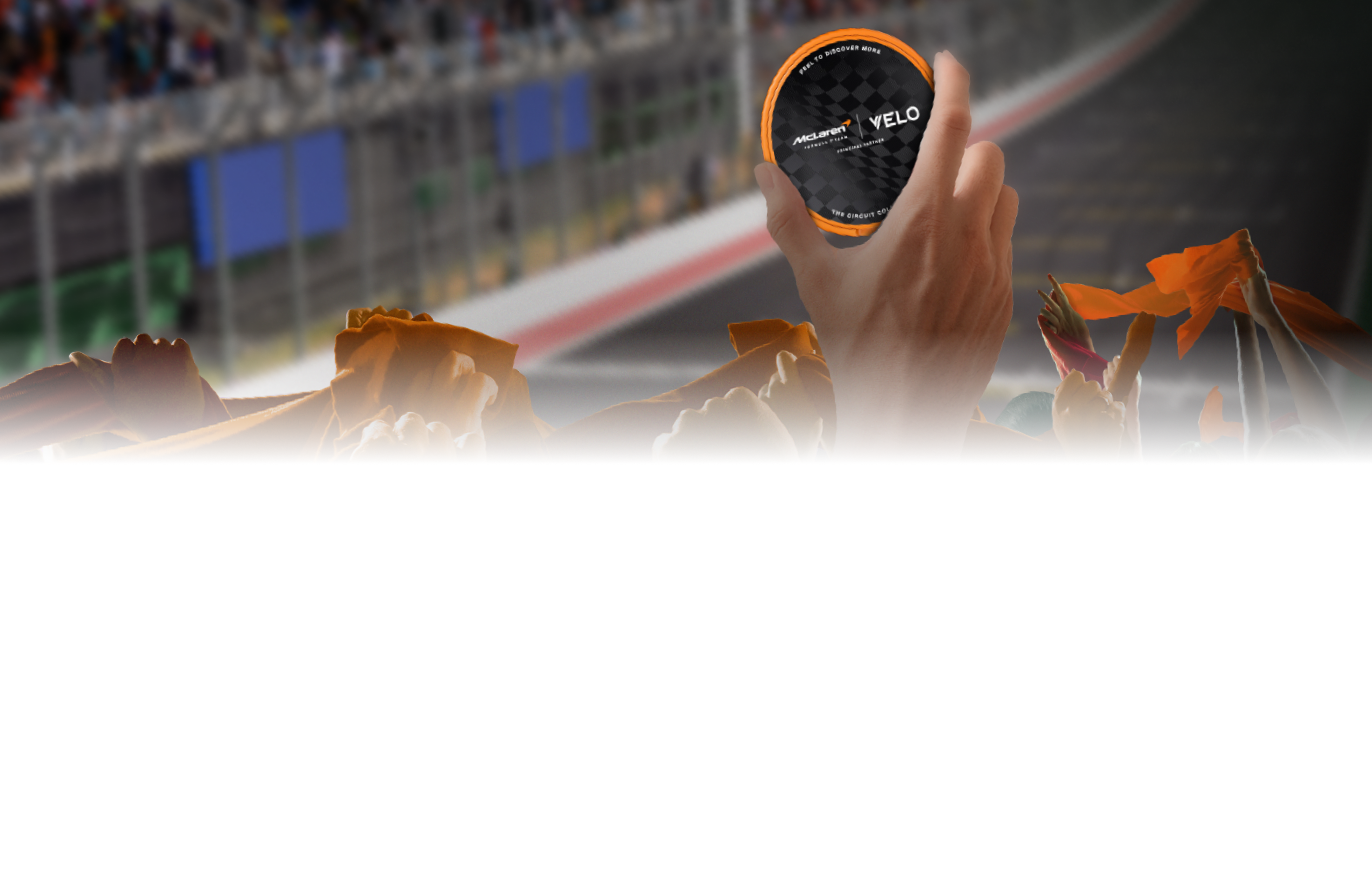banner Image